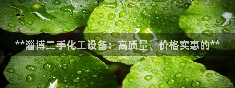 新宝gg平台注册官网