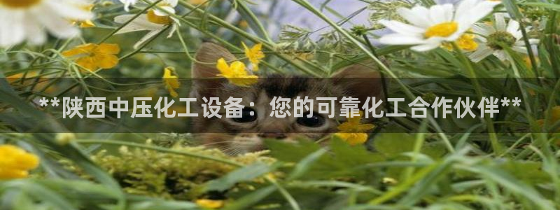 新宝gg娱乐创造奇迹登录官网