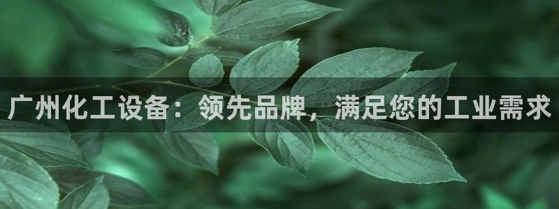 新宝gg平台是否合法