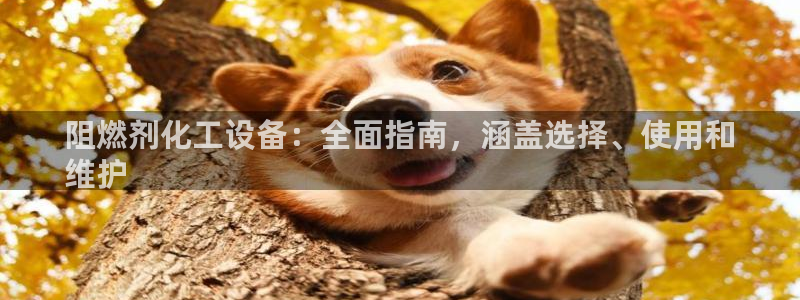 新宝gg注册网址