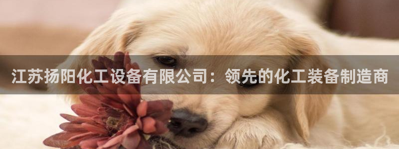 新宝gg—创造奇迹登录