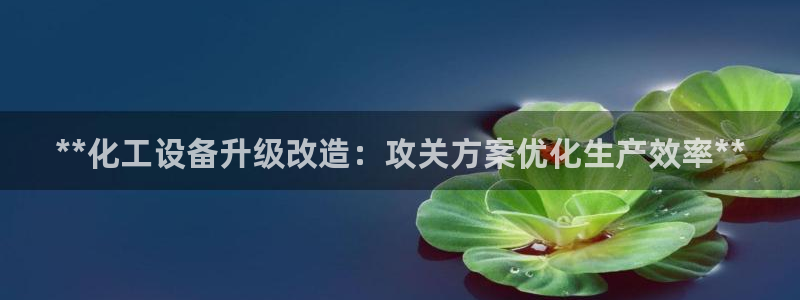 新宝gg一创造奇迹用户登录