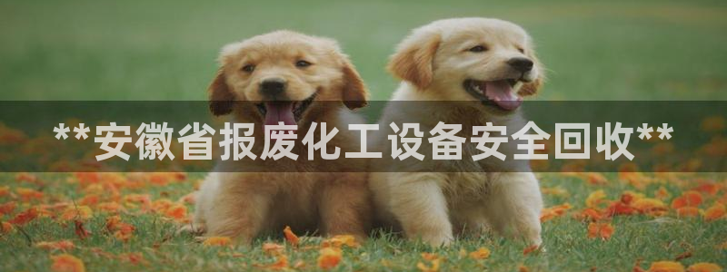 新宝gg注册账号