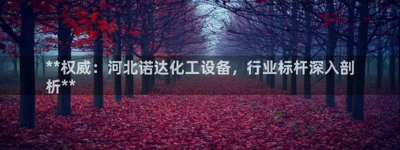 新宝gg–创造奇迹