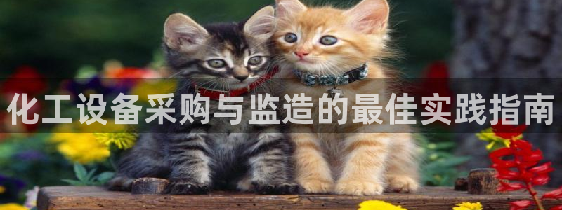 新宝gg平台—创造奇迹