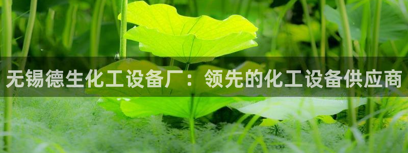 新宝gg一创造奇迹代理测速