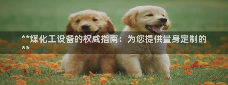 新宝gg创造奇迹登录首页