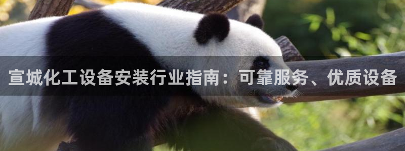 新宝gg游戏首页