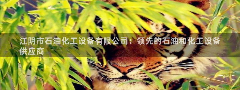 新宝gg平台注册官网