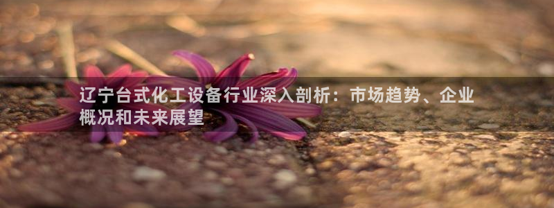 新宝gg—创造奇迹官网