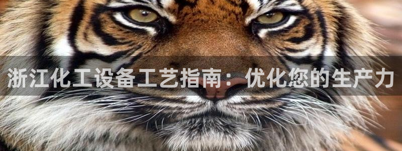 新宝gg账号首页
