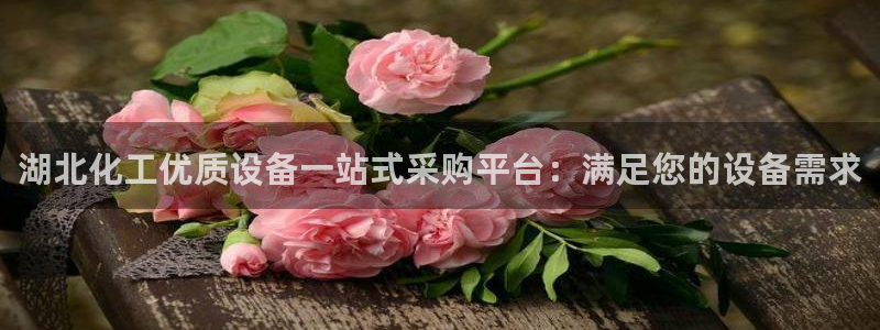 新宝gg平台—创造奇迹登录首页