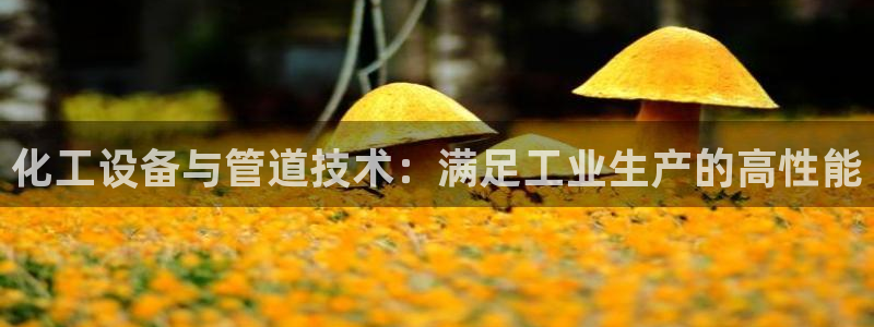 新宝gg怎么登录不了