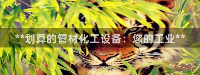 新宝gg怎么登录不了了