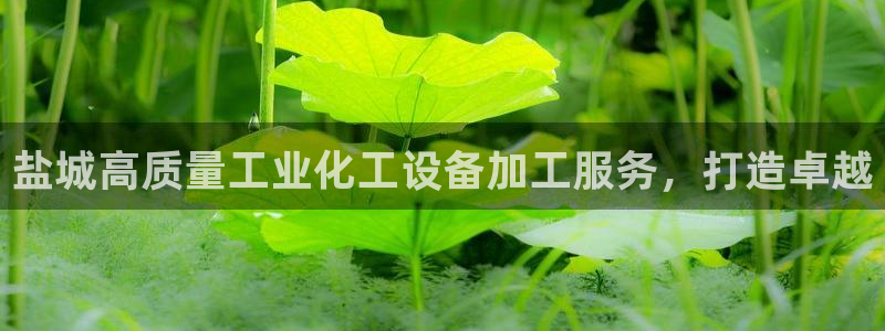 新宝gg创造奇奇迹