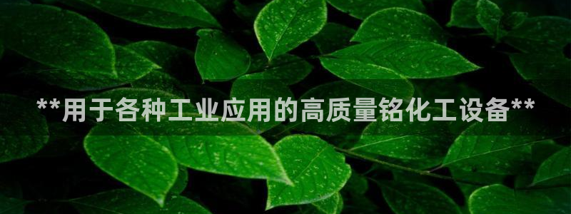 新宝gg最简单登录方法