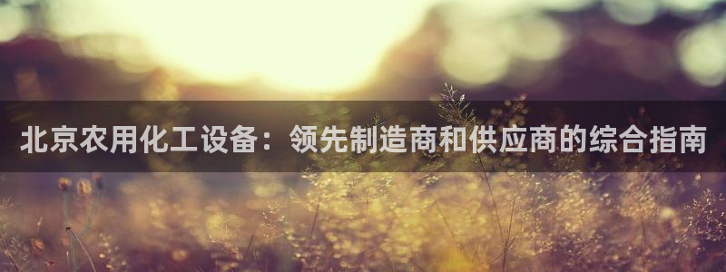 新宝gg游戏平台客服