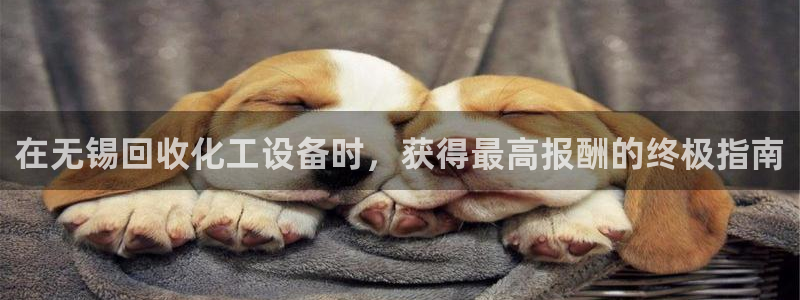 新宝gg最新更新内容与历史回顾