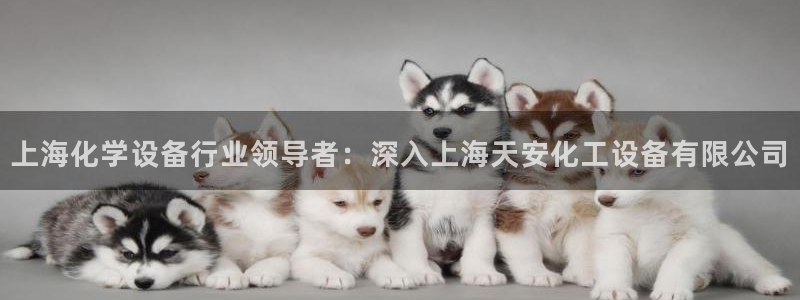 新宝gg招商主管