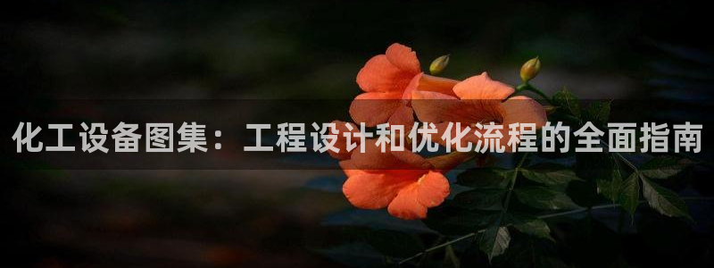 新宝gg创造奇迹登录入口