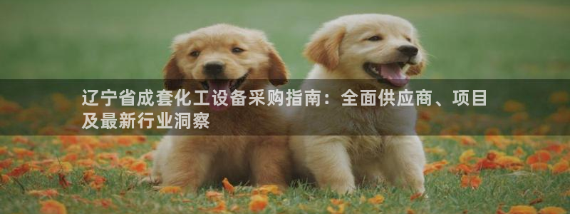 新宝gg注册网址