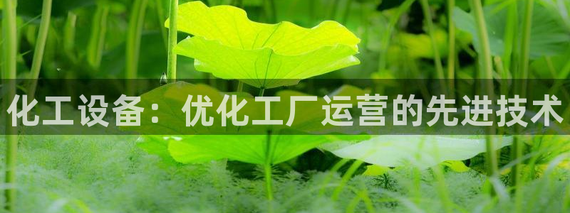 新宝gg创造奇迹会员注册登录