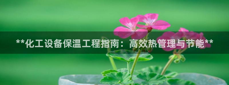 新宝gg怎么退钱