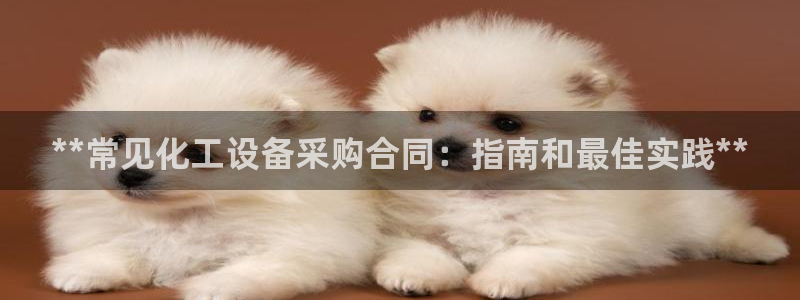 新宝gg登录入口