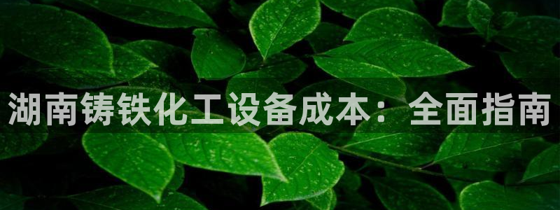 新宝gg一创造奇迹代理