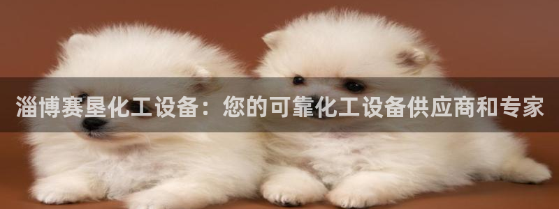 新宝gg上线被抓