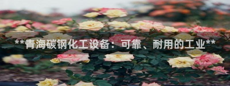新宝gg—创造奇迹官网