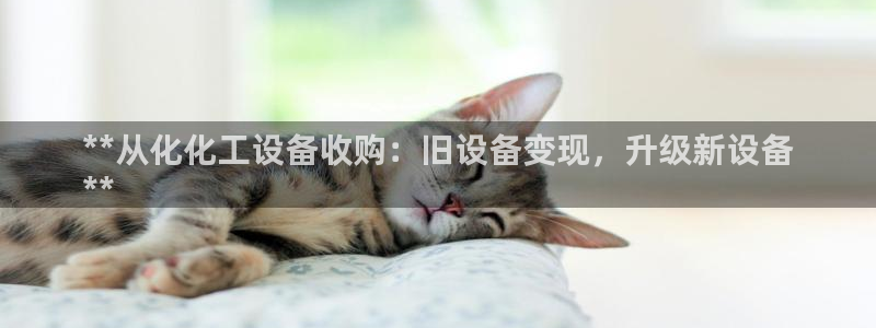 新宝GG创造奇迹