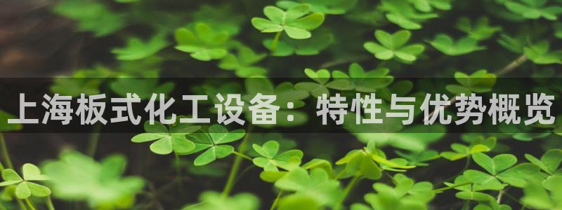 新宝GG平台负责人