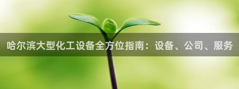 新宝gg一键登录