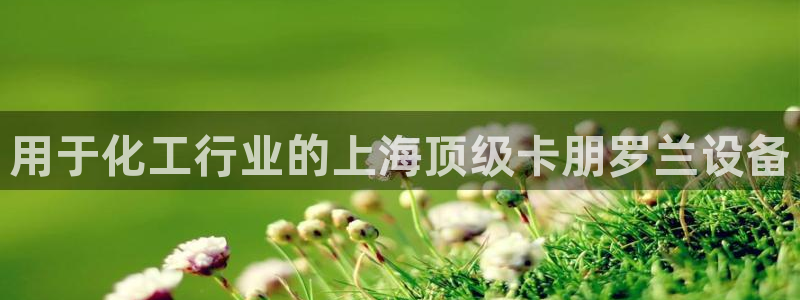 新宝gg创造奇迹官方登录