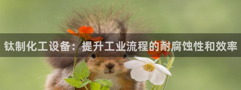 新宝gg创造奇迹登录最简单三个步骤