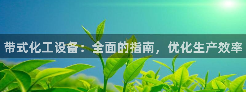 新宝gg最新更新内容与历史回顾：带式化工设备：全面的指南，优