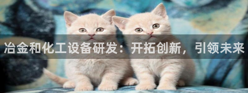新宝gg奇迹登录