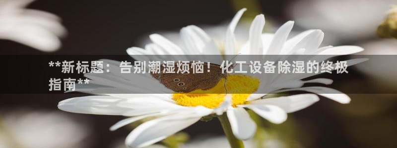 新宝gg—创造奇迹代理登录