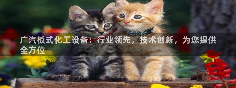 新宝gg怎么登录不上去了了