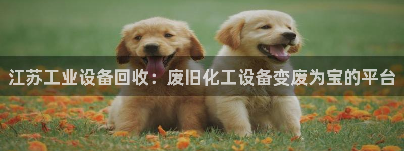 新宝gg—创造奇迹登录：江苏工业设备回收：废旧化工