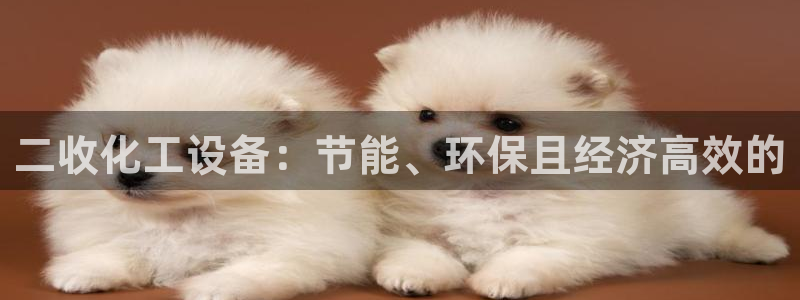 新宝gg上线被抓：二收化工设备：节能、环保且经济高