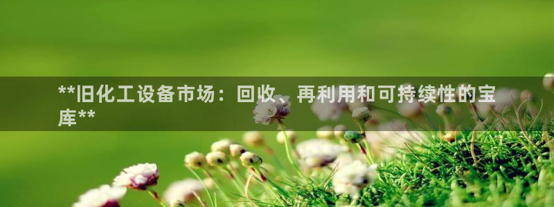 新宝gg怎么登录不了了