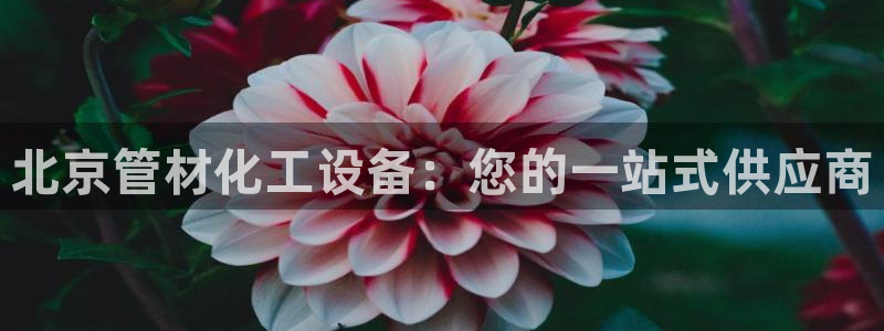 新宝gg平台注册?