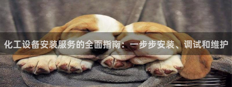 新宝gg创造奇迹手机登录：化工设备安装服务的全面指