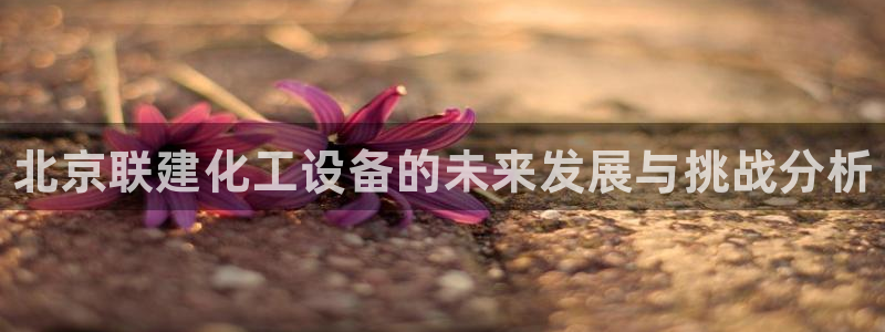 新宝gg一创造奇迹注册：北京联建化工设备的未来发展