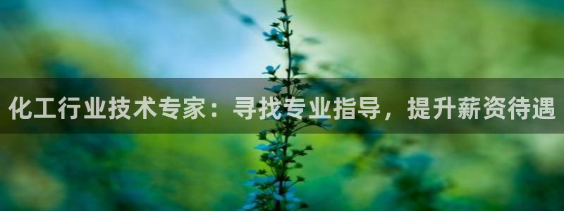 新宝gg真的能赚钱么