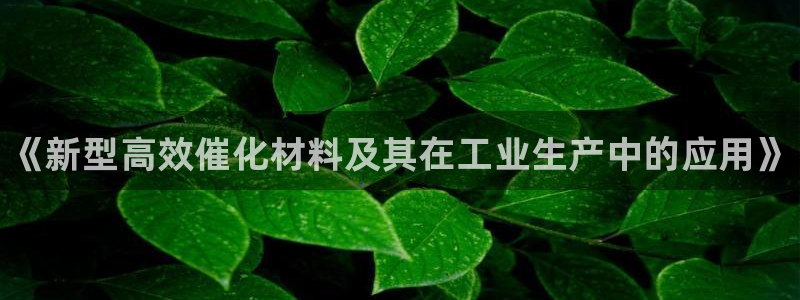 新宝gg官网登录代理