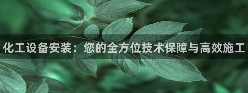 新宝gg平台—创造奇迹赌博：化工设备安装：您的全方位技术保障