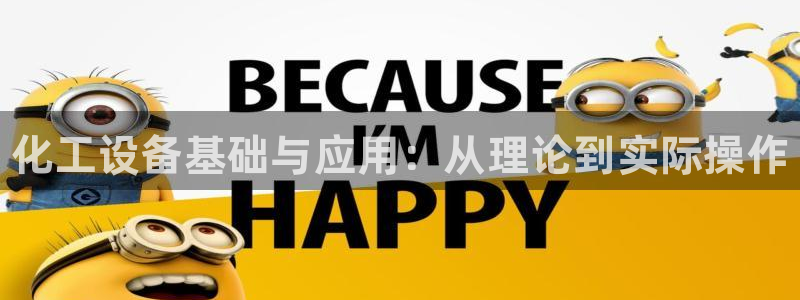 新宝gg游戏平台客服：化工设备基础与应用：从理论到实际操作